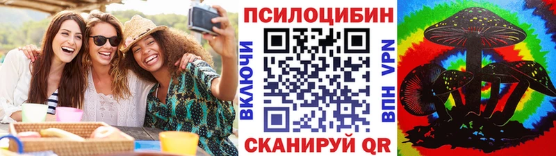 Псилоцибиновые грибы Psilocybe  купить  цена  Сафоново 